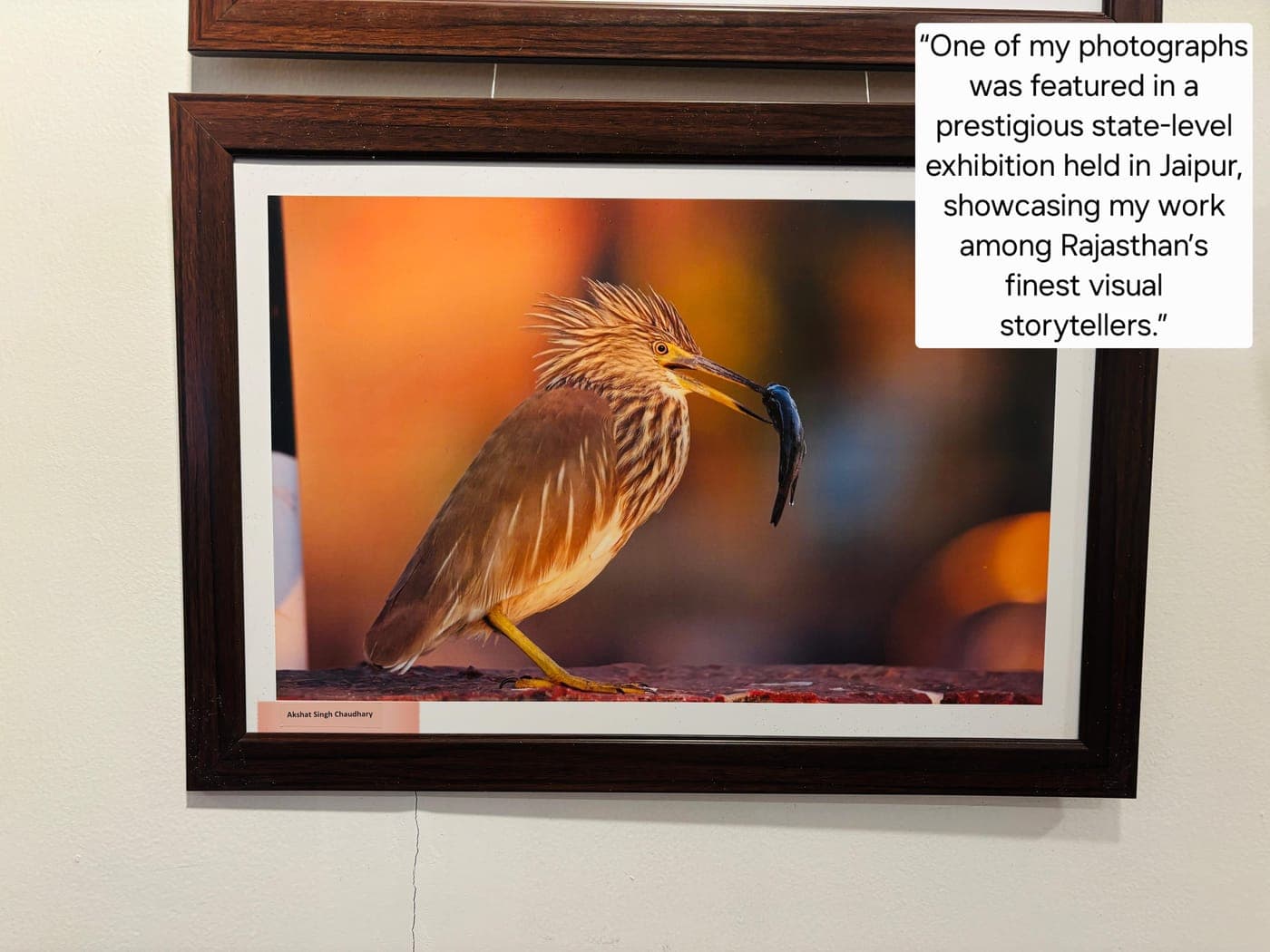 State-level Photography Exhibition